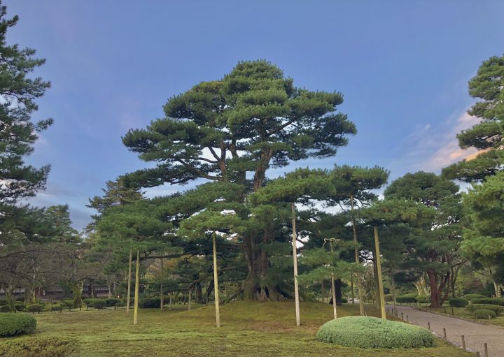 「個」から世界へつながる物語を